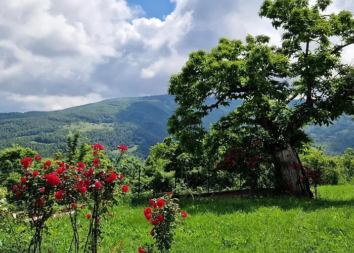 Bed & Breakfast Nina *