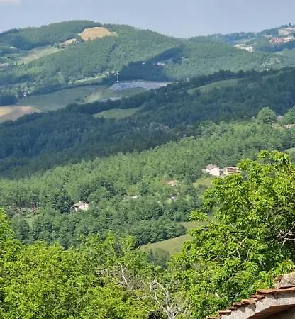 Nina * San Benedetto Val di Sambro