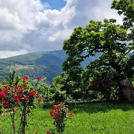 Bed and Breakfast Nina *